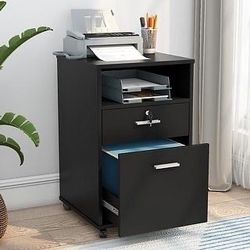 Black 2-Drawer File Cabinet Mobile Printer Stand with Lock