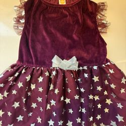 Plum Dress-Medium 