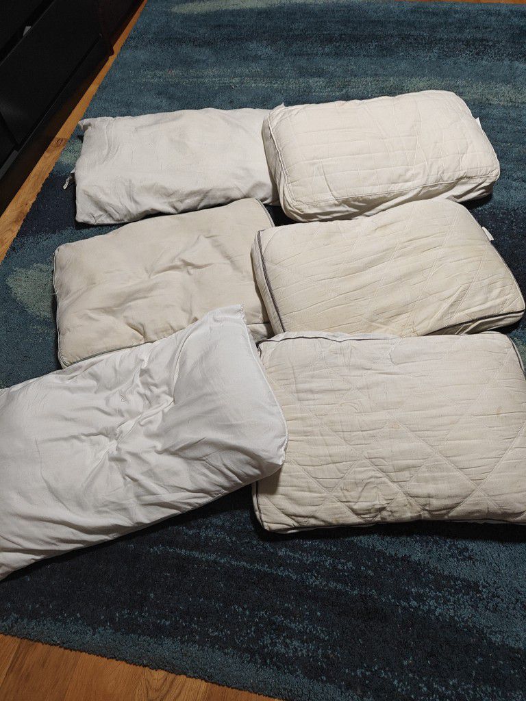 6 Pillows 