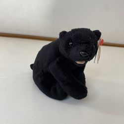 Ty Beanie Baby - CINDERS the Bear (5 Inch) Plush Stuffed Animal Toy