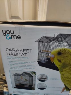 New bird cage