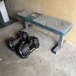 Dumbbell Adjustable Weights BowFlex 5-52.5lb with Weight Bench Press