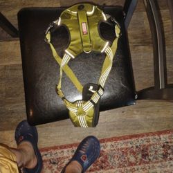 Kong Dog Harness