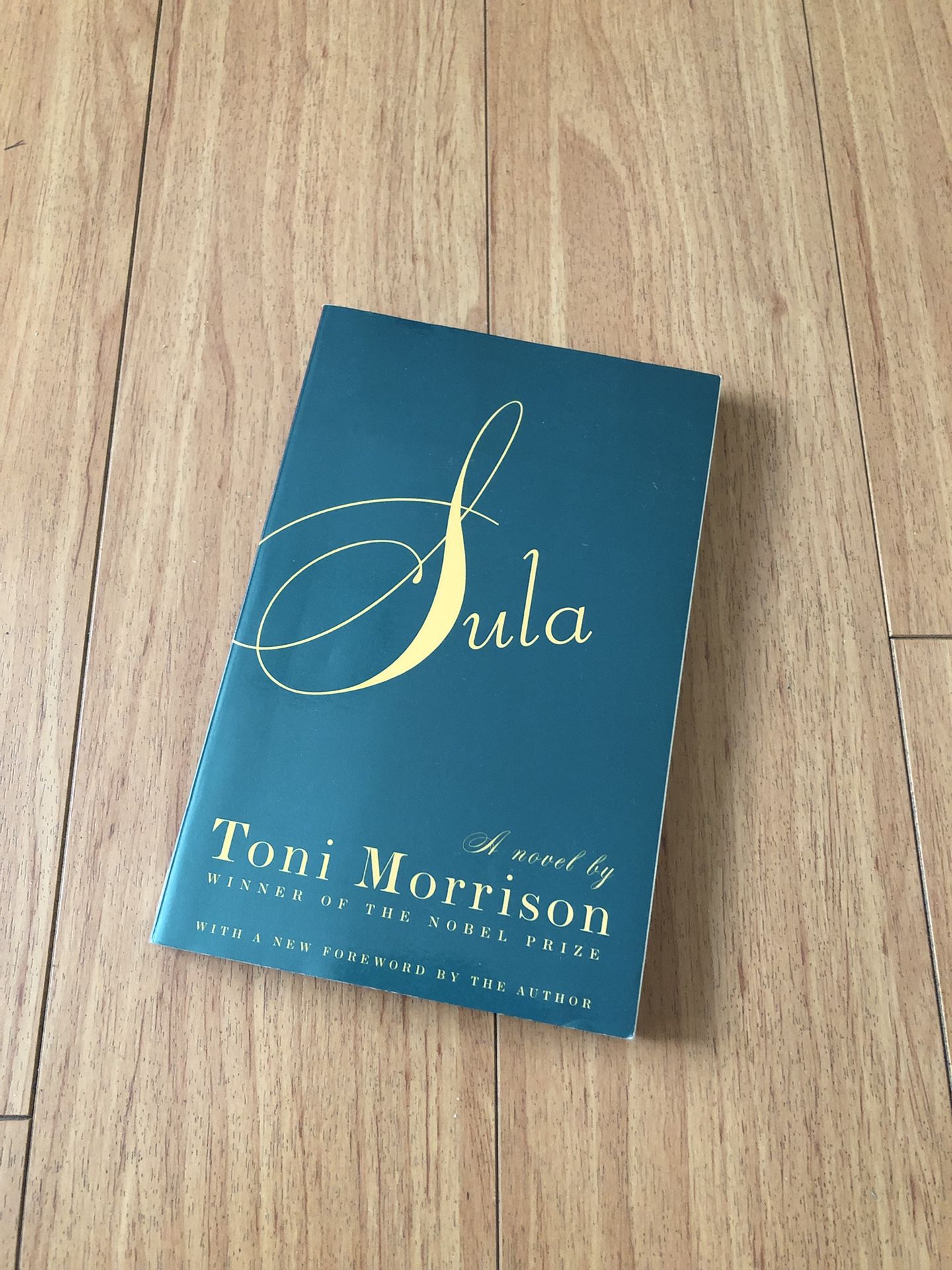 Sula by Toni Morrison
