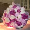 _Peonies_