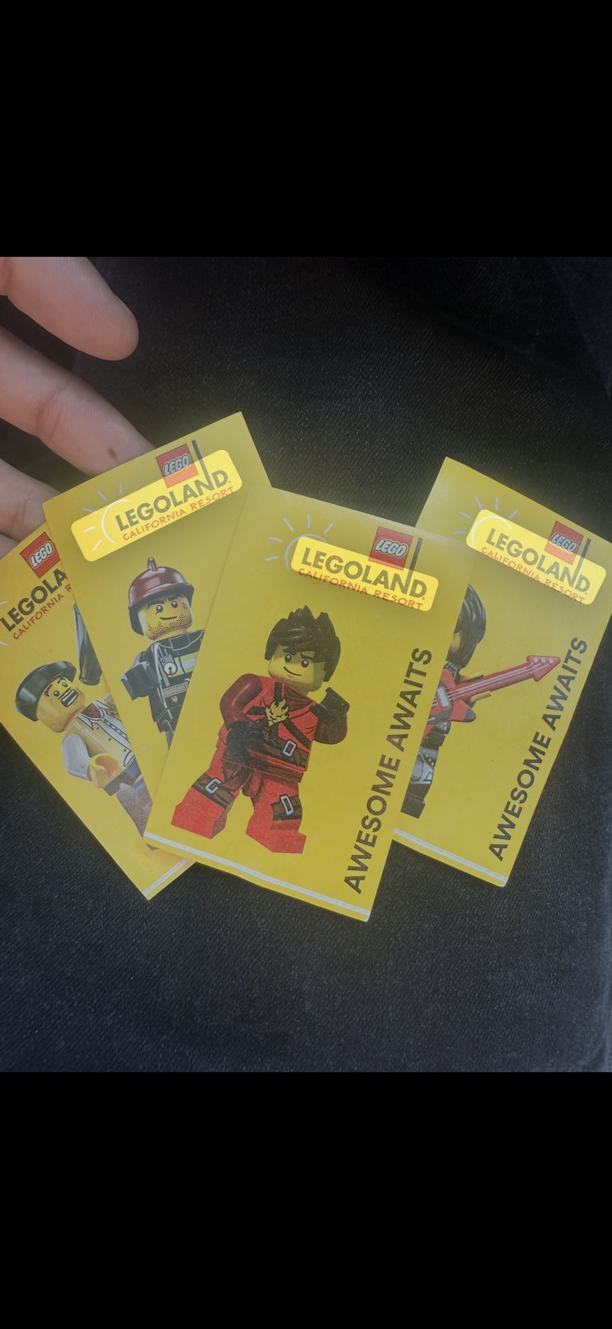 Four 1-Day Resort Hopper Tickets