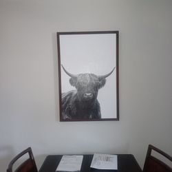 Highland Cow Canvas Art