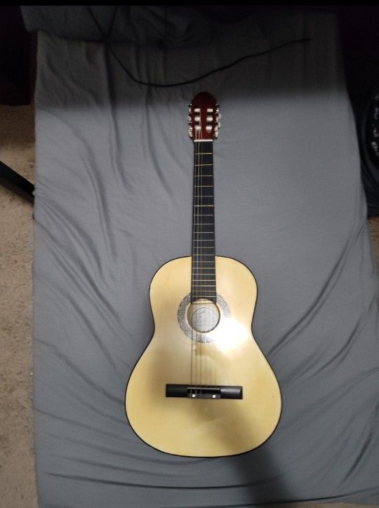 Guitar
