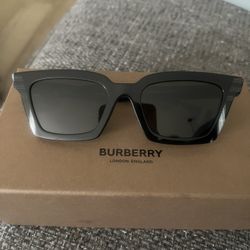 New In Box Burberry Briar Sunglasses 