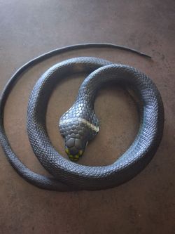 RUBBER Snake! Or FAKE snake, idk the material lol