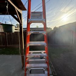 Ladder With Wheels