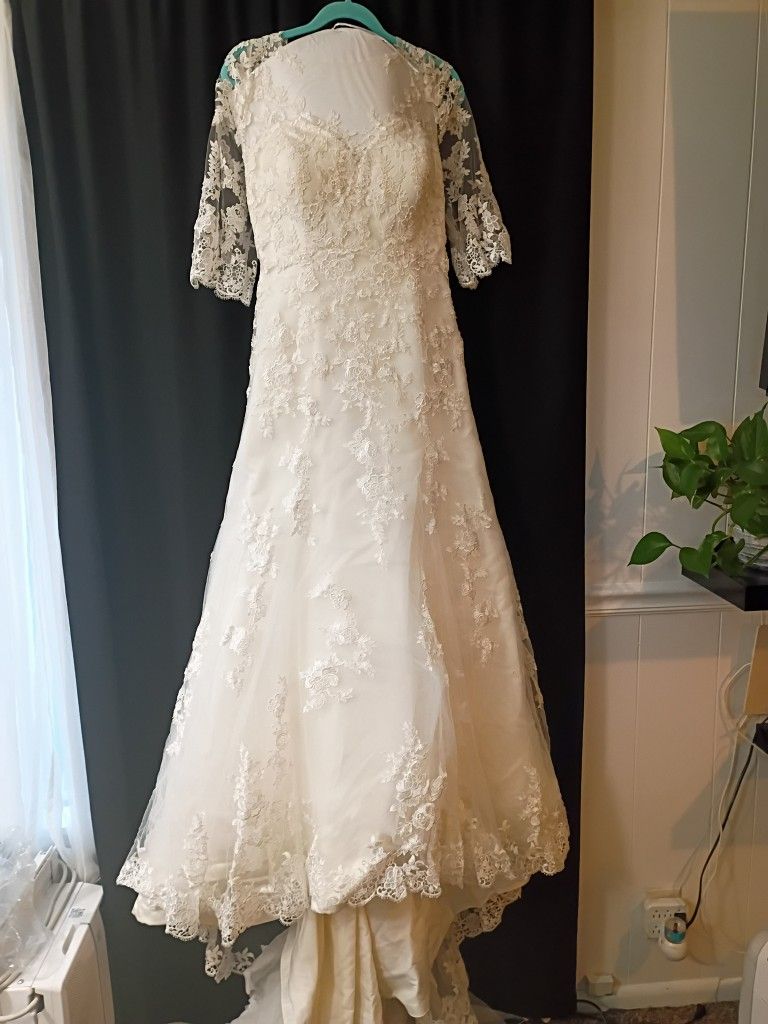 Wedding Gown By Venus