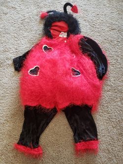 24 months lady bug costume . Good condition