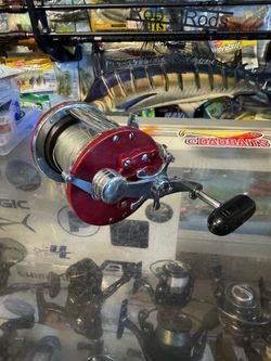 (Murrieta ) Penn jigmaster 500 salt water fishing reel.