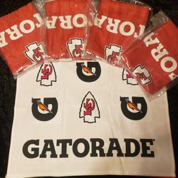 NFL Gatorade Towel 