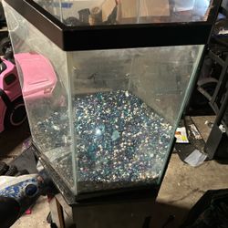 Corner Fish Tank 