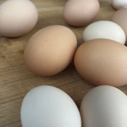 Eggs 