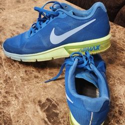 Nike Air Max Sneakers