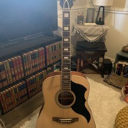 Eko Acoustic Guitar + Gig Bag & Accesories