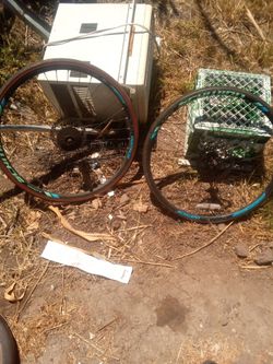 Schwinn low weight racing rims.