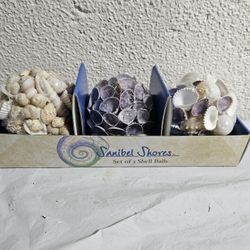 🐚 Sanibel Shores Set of 3 Shell Balls! 🐚 