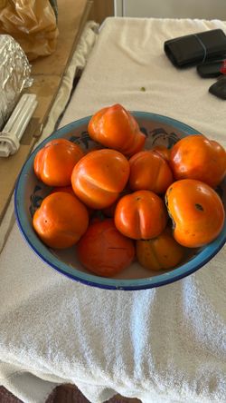 Persimmons 