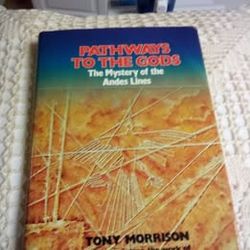 Book - Pathway to the Gods ( The Mystery of the Andes Lines)