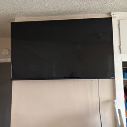 Vizio Flat Screen Tv