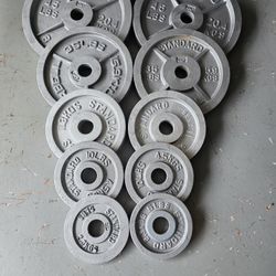 Standard Barbell Gum Plates. 2 45s 2 35s 2 25s 2 10s 2 5s