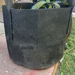 Pots 15 Gallons 247garden