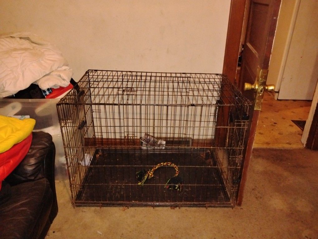 Dog Cage 