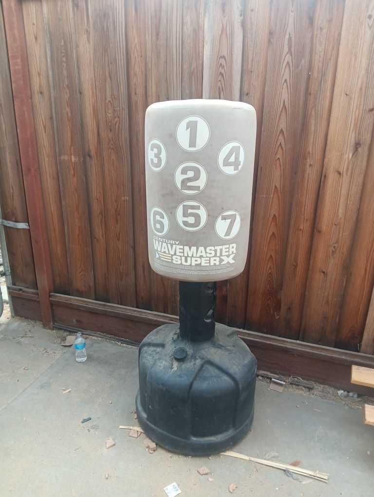 Century Punching Bag