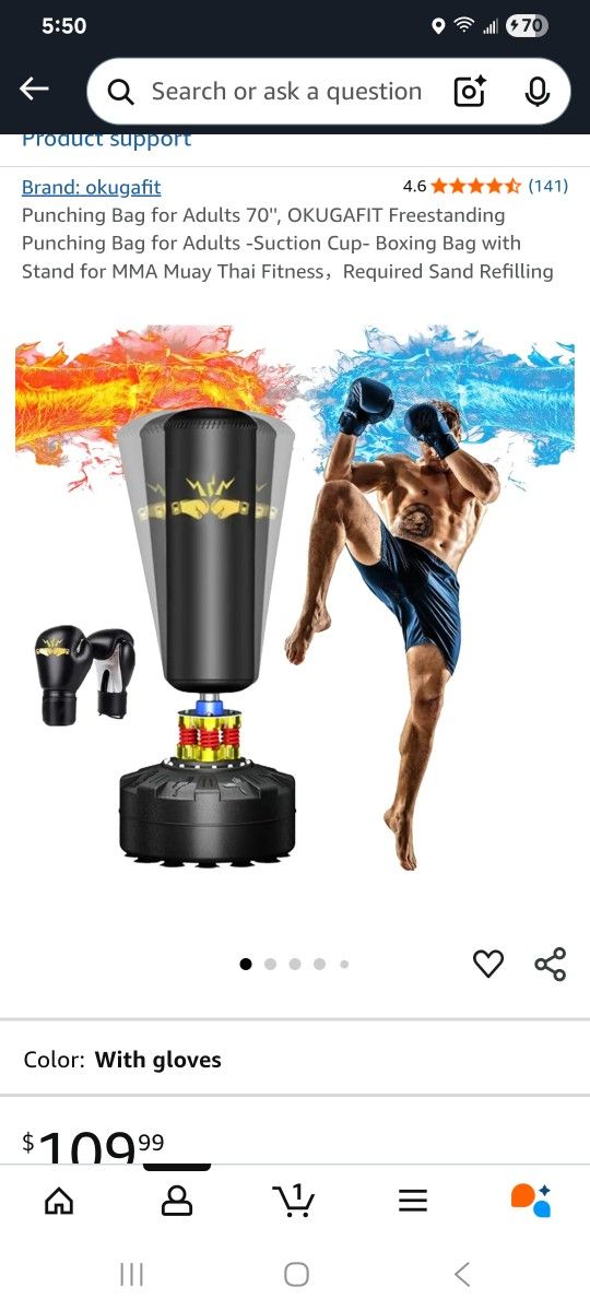 Punching Bag With Gloves