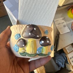 Ceramic Succulent Pots – Pallet Liquidation – Great Wholesale Deal