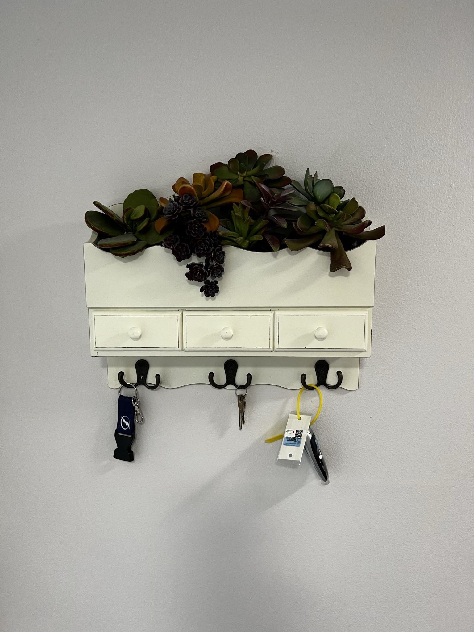 Plant Key Holder for Sale in St. Petersburg, FL OfferUp