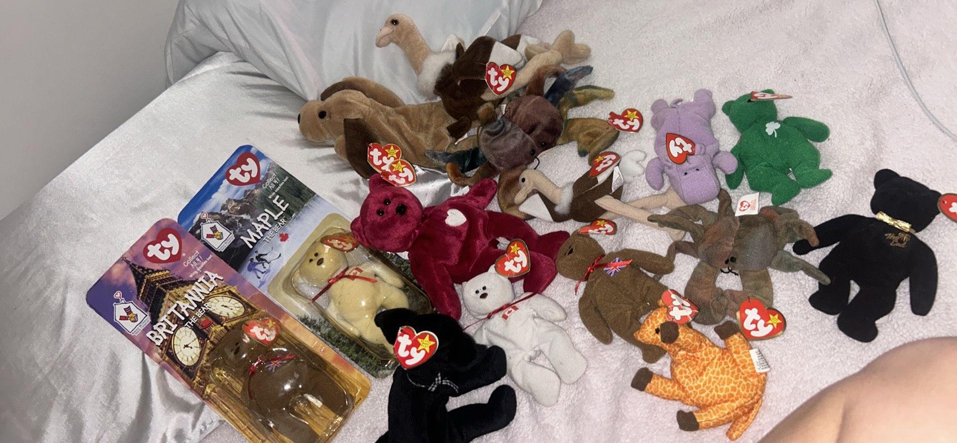 **EXTREMELY RARE BEANIE BOO COLLECTION**