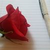 Lorena