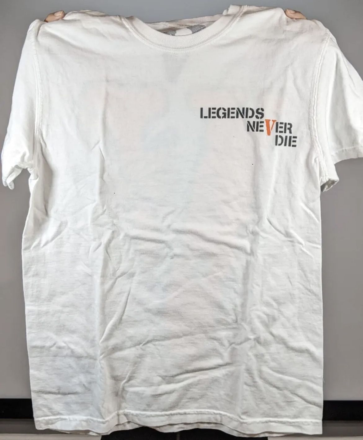 Legends Never Die V.1 - Legend of Zelda T-Shirt - The Shirt List