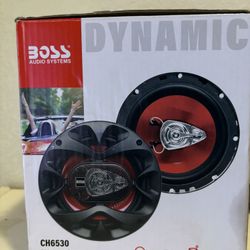 Boss Audio System