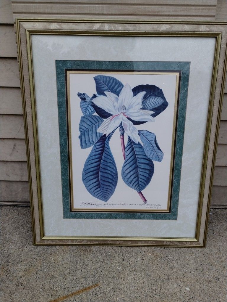 PARAGON PICTURE GALLERY ARTWORK - MAGNOLIA  31"×25"