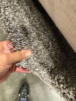 carpet-stainmaster