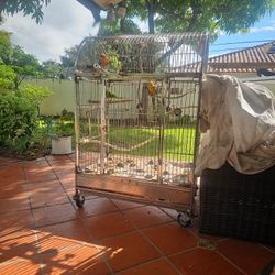 STAINLESS CAGE JAULA  SUN CONURE COTORRA DEL SOL HIGH YELLOW