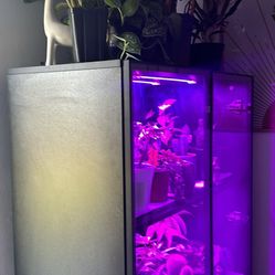 Display Case