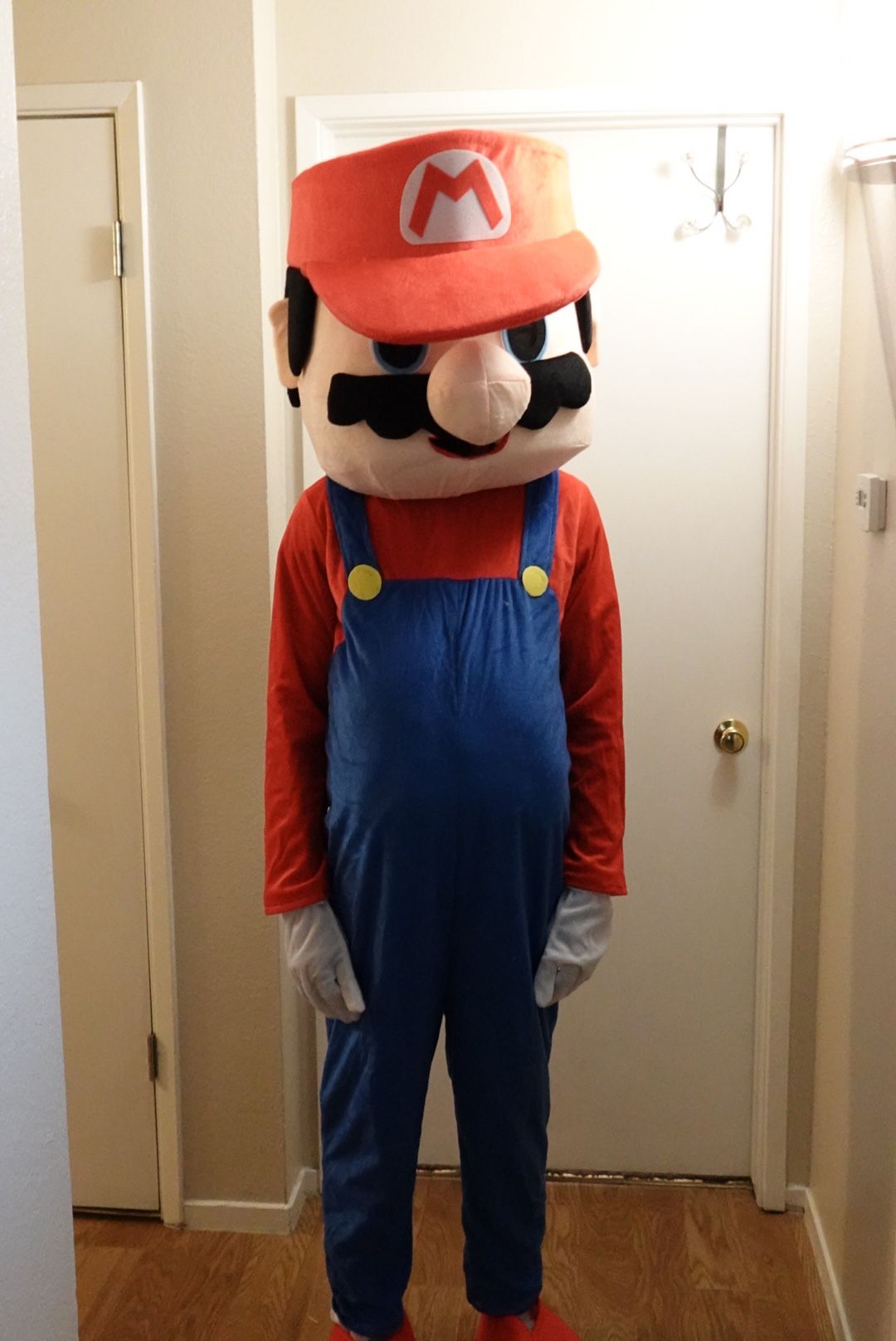 Super Mario Mascot/Costume