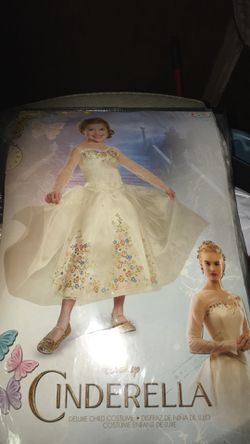 New Cinderella costume