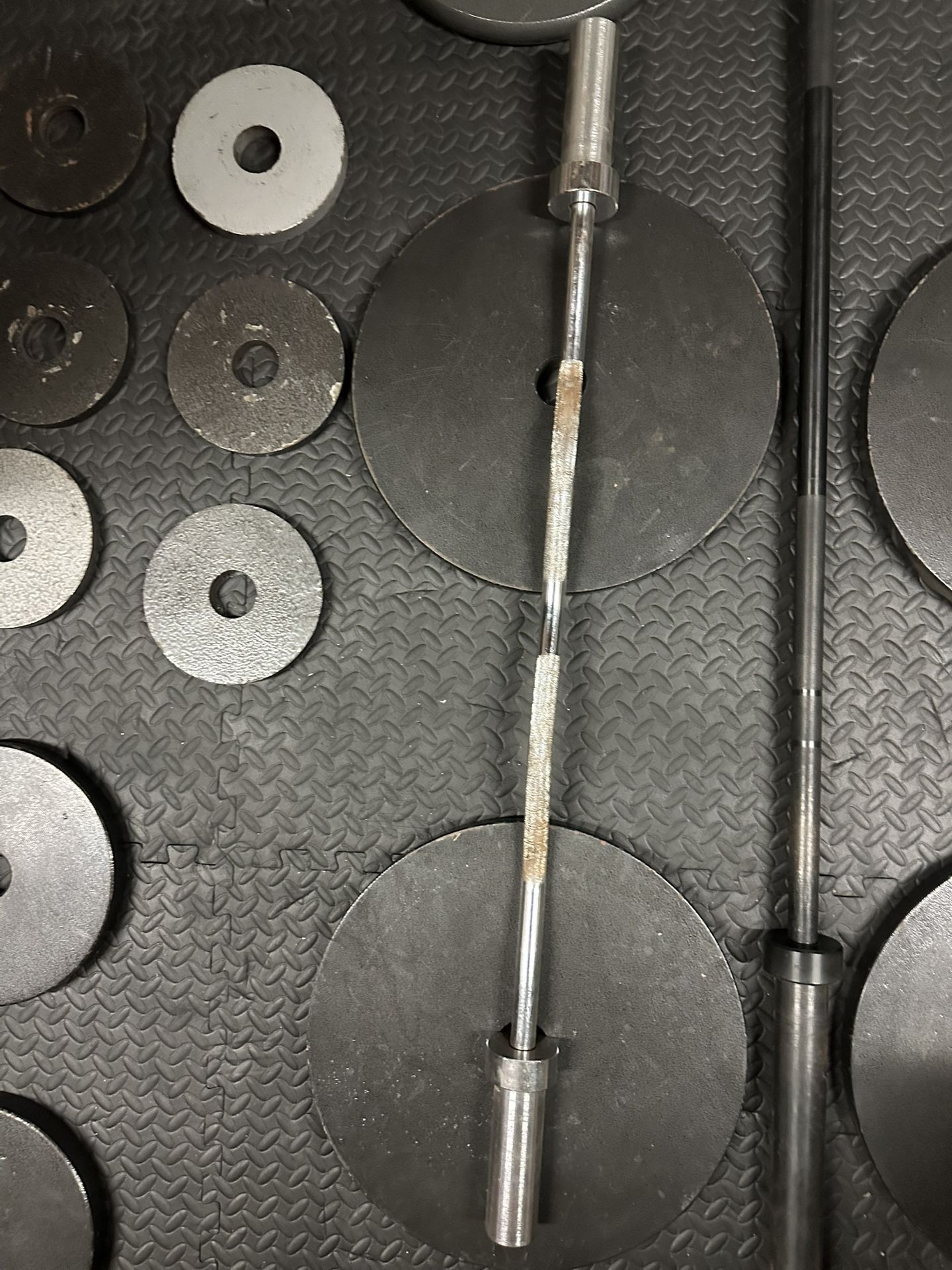 Curl Bar