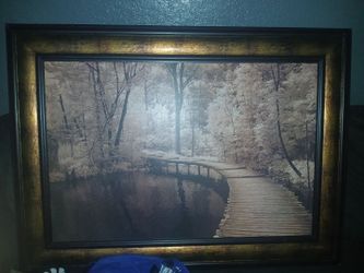 Framed Forest Boardwalk Wall Art Print