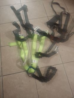 Full body harness