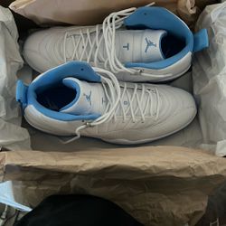 Air Jordon  12 Retro 