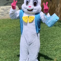 Bunny Costume (one Size)